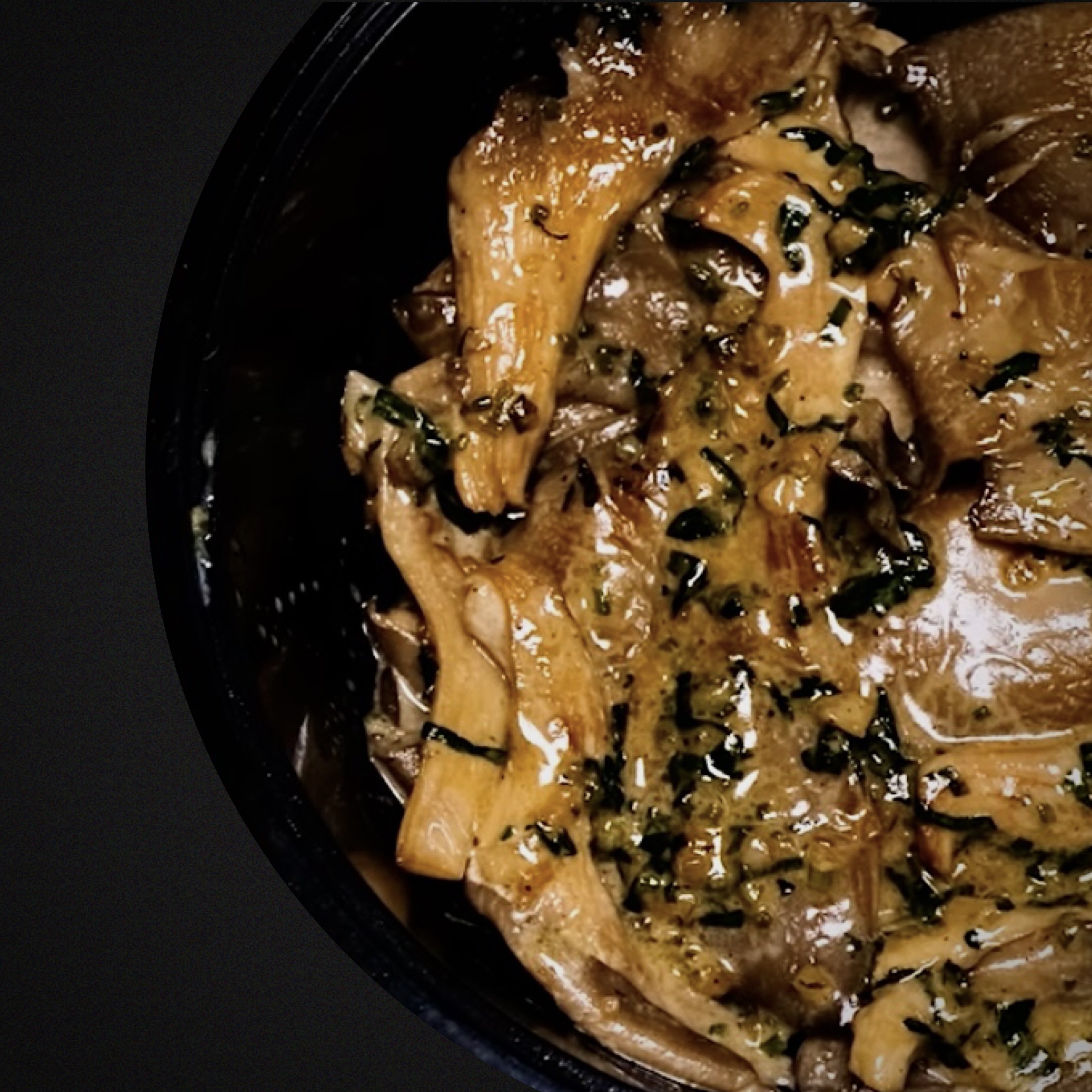 Կախասունկ սպիտակ սոուսով